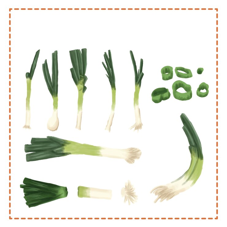 Vector ingrediente de especias para el juego de pegatinas de cocina chile cebolla verde ajo