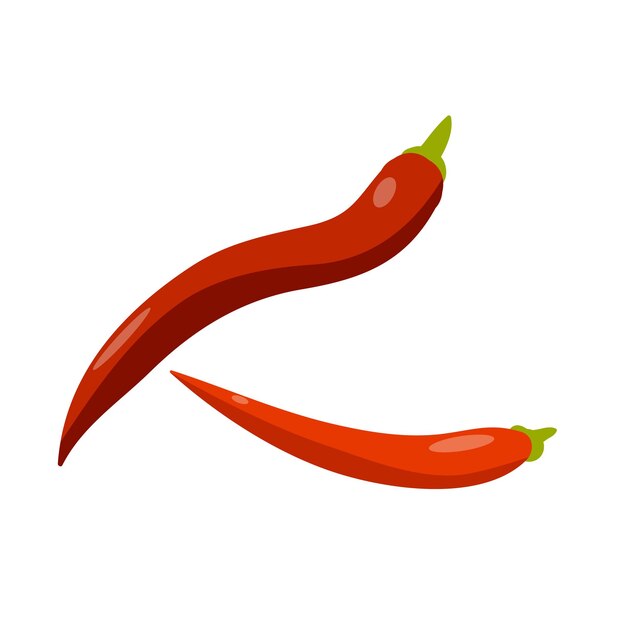 Ingrediente de pimienta de chile vectorial en fondo blanco