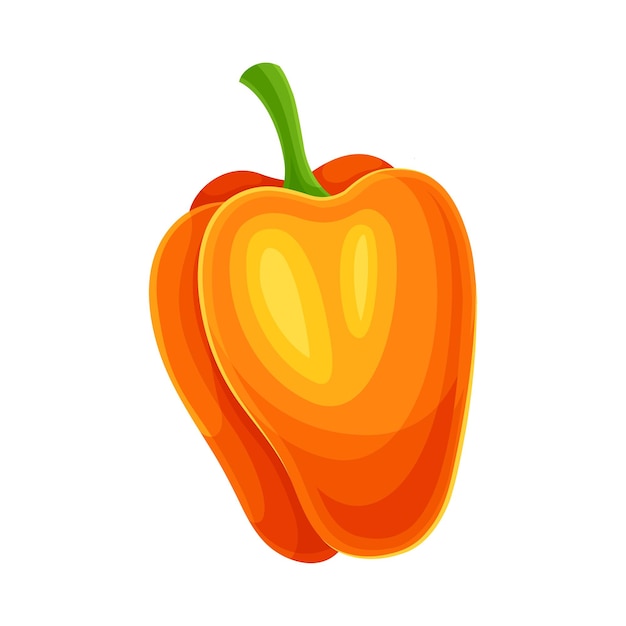 Ingrediente vegetal de pimienta dulce de naranja para la ilustración vectorial culinaria