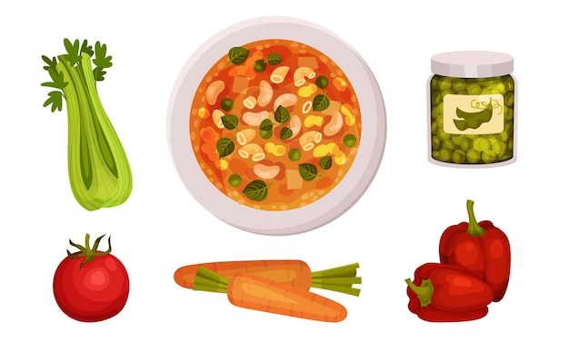 Ingredientes para el conjunto vectorial de verduras Minestrone