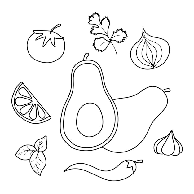 Ingredientes crudos frescos para salsa de aguacate mexicana guacamole Ilustración vectorial plana