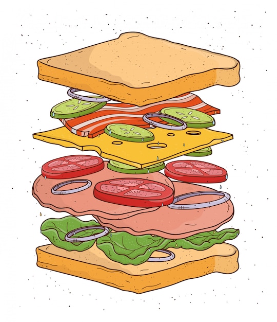 Ingredientes sándwich concepto. Pan, ensalada, tomate, queso, tocino, cebolla, colorida ilustración dibujado a mano.