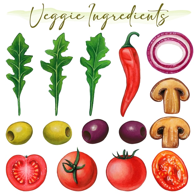 Ingredientes vegetales dibujados a mano en acuarela