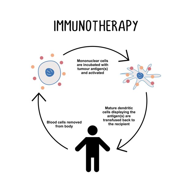 Inmunoterapia El uso de medicamentos u otras sustancias para estimular el sistema inmunitario del cuerpo para que reconozca y ataque las células cancerosas.