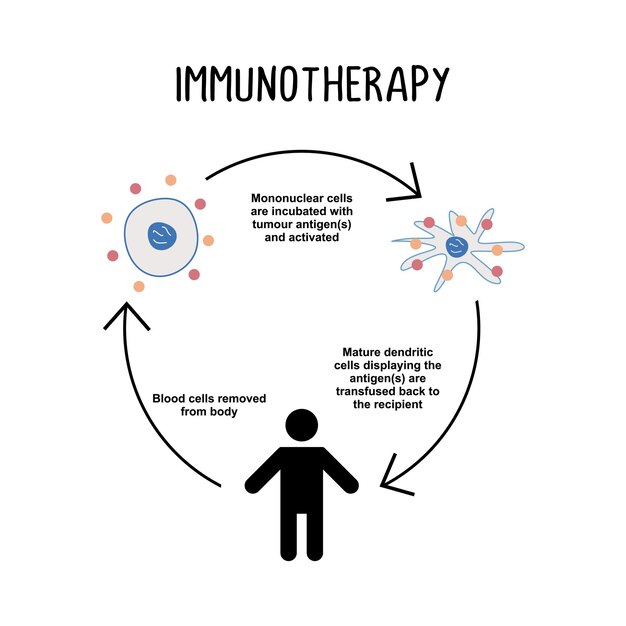 Inmunoterapia el uso de medicamentos u otras sustancias para estimular el sistema inmunitario del cuerpo para que reconozca y ataque las células cancerosas.