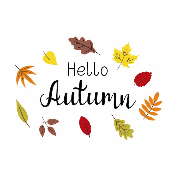 Inscripción hola, otoño a mano. lindas letras de otoño. hojas doradas y rojas.
