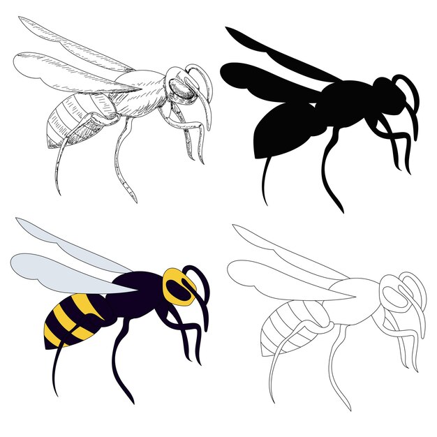 Insecto de abeja avispa aislado vectorial con silueta y boceto