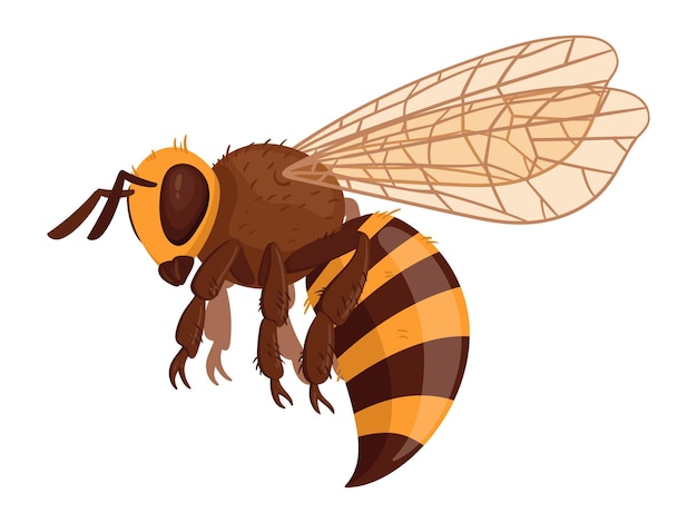 Vector insecto de abeja de miel dibujos animados abeja voladora lindo abejorro alado abeja rayada ilustración vectorial plana sobre fondo blanco