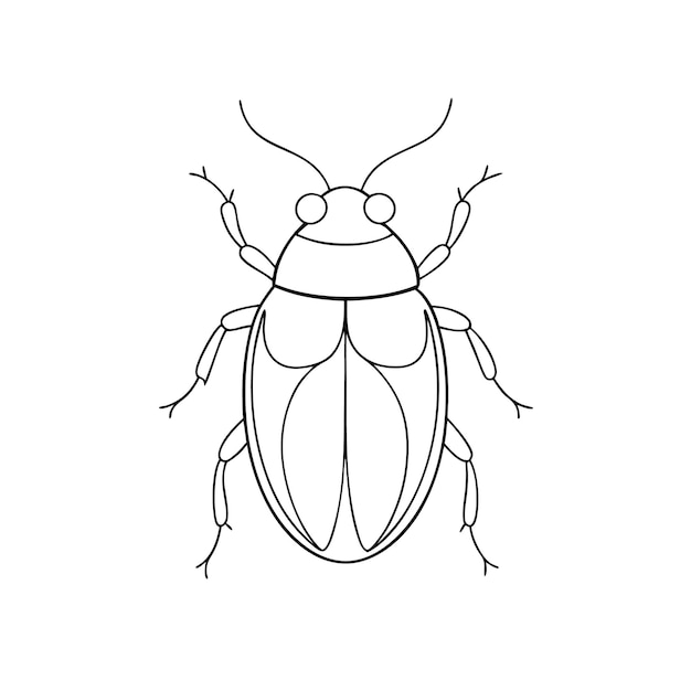 un insecto con una cara negra y un fondo blanco