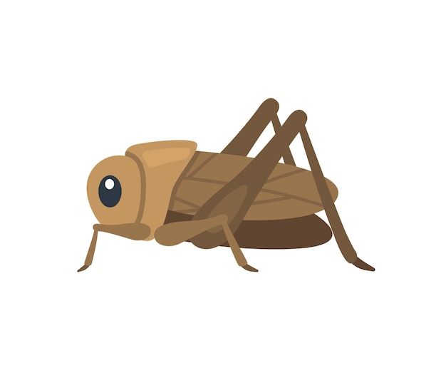 Insecto cricket vector icono aislado. Ilustración de emojis. Emoticon de vector de grillo