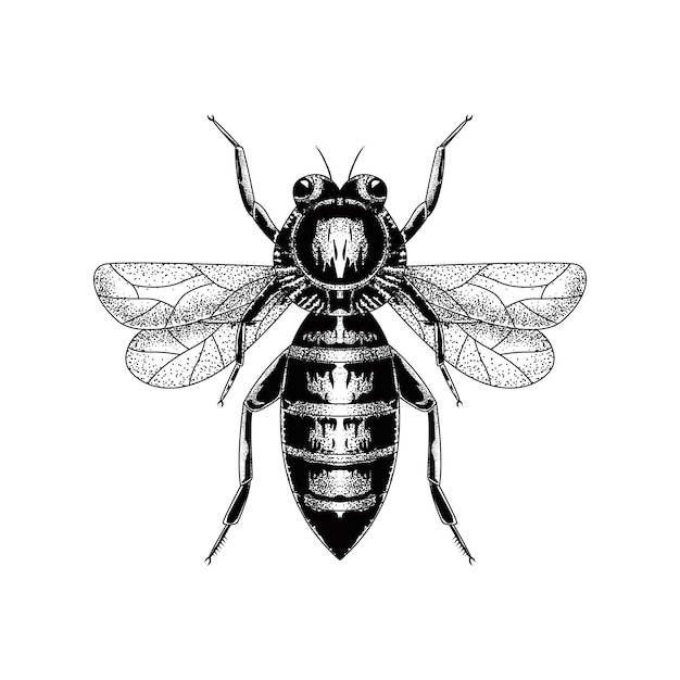 INSECTO A MANO EN ESTILO VINTAGE