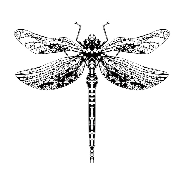 INSECTO A MANO EN ESTILO VINTAGE
