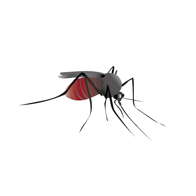 Vector insecto mosquito con sangre en el vientre komar bebió sangre dibujo vectorial