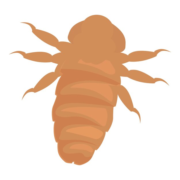 Un insecto piojo extendiendo sus patas mientras se arrastra sobre un fondo blanco