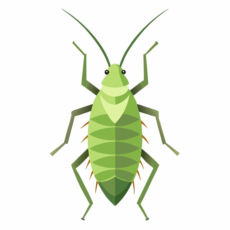 Vector un insecto verde con un fondo blanco con un frente verde
