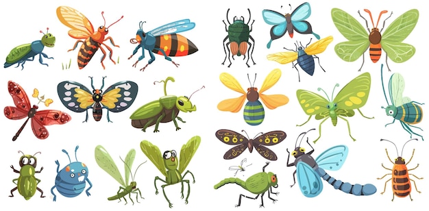 Vector insectos de dibujos animados