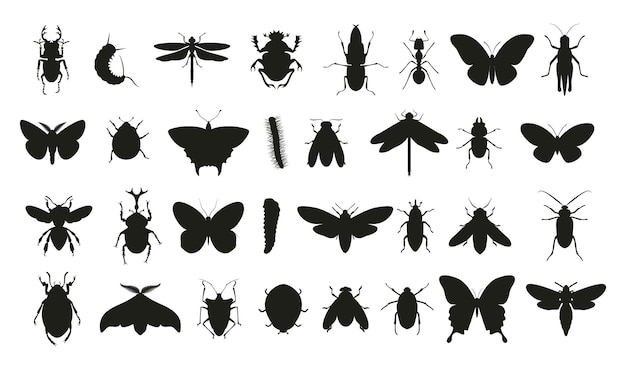 Insectos diferentes tipos plantillas de vectores premium de siluetas