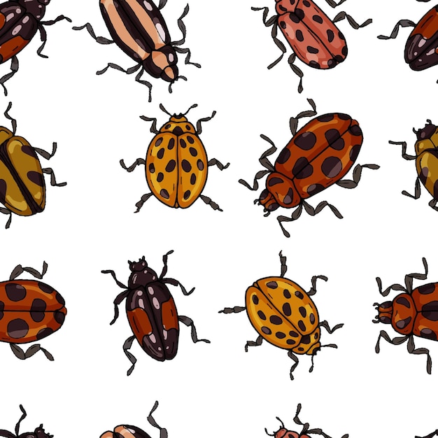 Insectos escarabajos grandes colocados por separado en un libro para colorear de fondo blanco para niños