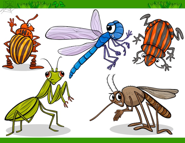 Vector insectos felices establecen ilustración de dibujos animados