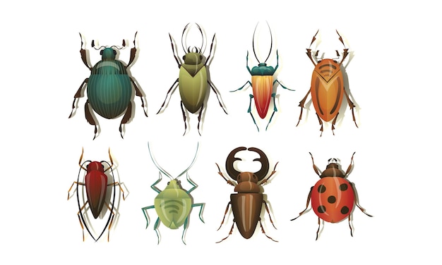 Vector insectos y insectos realistas con conjunto de vectores de sombras