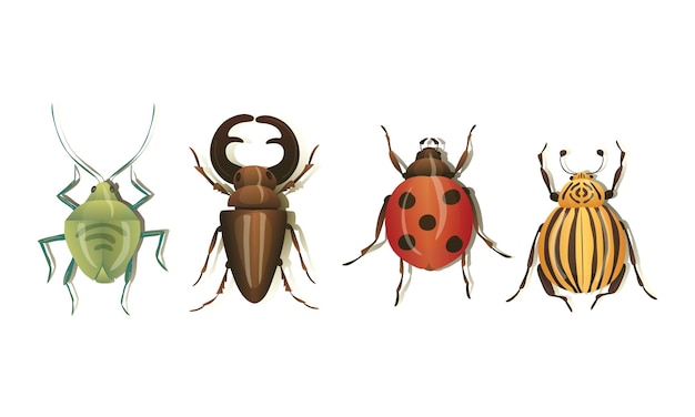 Vector insectos y insectos realistas con conjunto de vectores de sombras