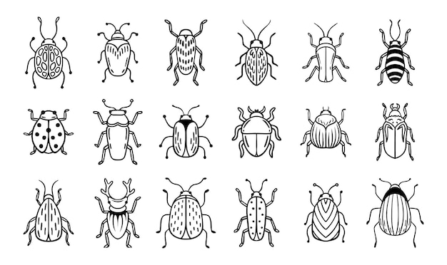 Insectos de jardín dibujados a mano conjunto de iconos de dibujos de contornos Insectos de jardinero dibujando elementos de línea simple escarabajo clipart