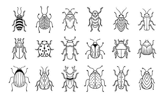 Insectos de jardín dibujados a mano conjunto de iconos de dibujos de contornos Insectos de jardinero dibujando elementos de línea simple escarabajo clipart