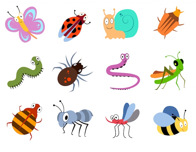 Insectos lindos y divertidos, colección de vectores de insectos