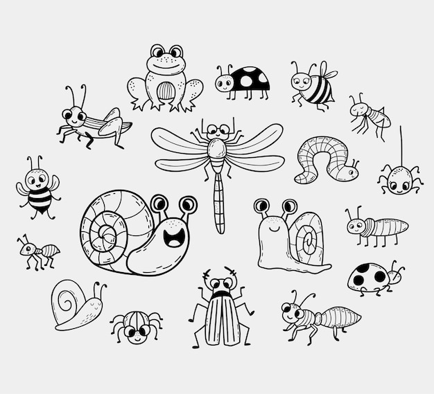 Insectos lindos doodle lineal rana caracol escarabajos y araña libélula y abeja mariquita y mosquito