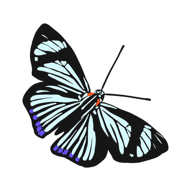 Insectos mariposas de colores realistas aisladas sobre fondo blanco ilustración vectorial