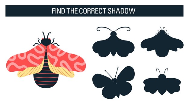 Insectos, mariposas, polillas. Find the right shadow, un juego educativo para niños. Estilo de dibujos animados de ilustración vectorial