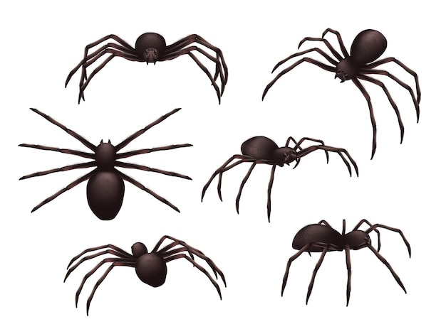 Insectos realistas. Conjunto de símbolos negros venenosos del horror del veneno del peligro de la araña.