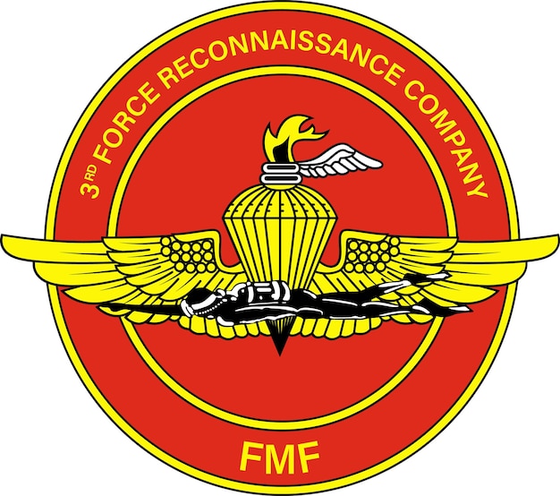 Vector insignia de la 3a compañía de reconocimiento de la fuerza