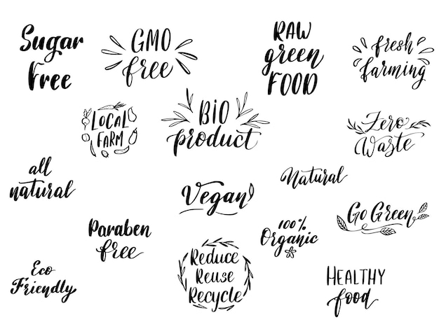 Insignia o signo de restaurante de comida ecológica y orgánica vectorial. Plantilla de menú de productos agrícolas frescos. Signo de letras dibujadas a mano para el mercado de alimentos vegetarianos cultivados localmente. ilustración vectorial