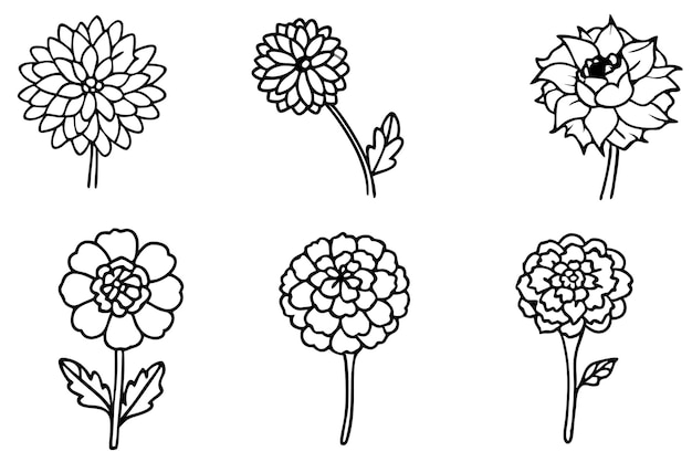 La inspiración artística de Marigold Line para ilustradores creativos