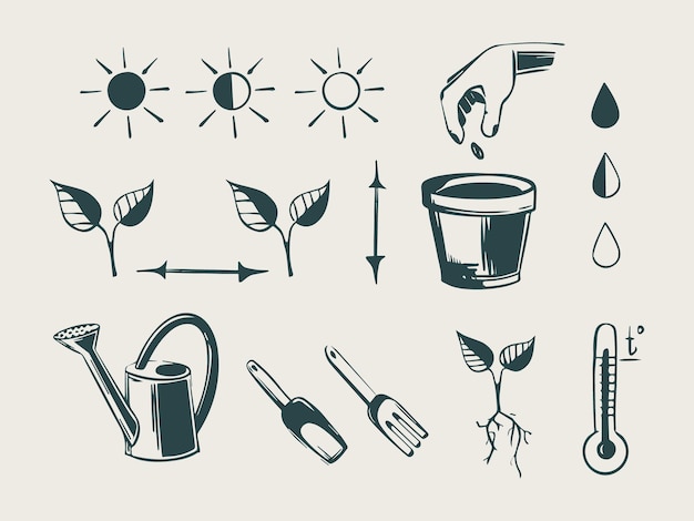 Instrucciones paso a paso para plantar semillas de plantas dibujo vectorial del proceso de plantación