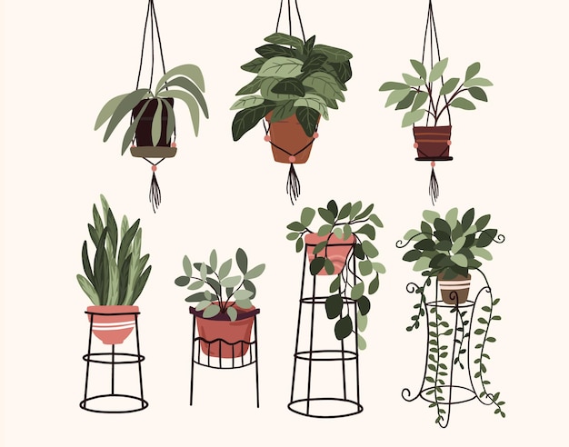 Vector interior plantas en maceta elementos de decoración set sticker pulgar verde para bullet journal