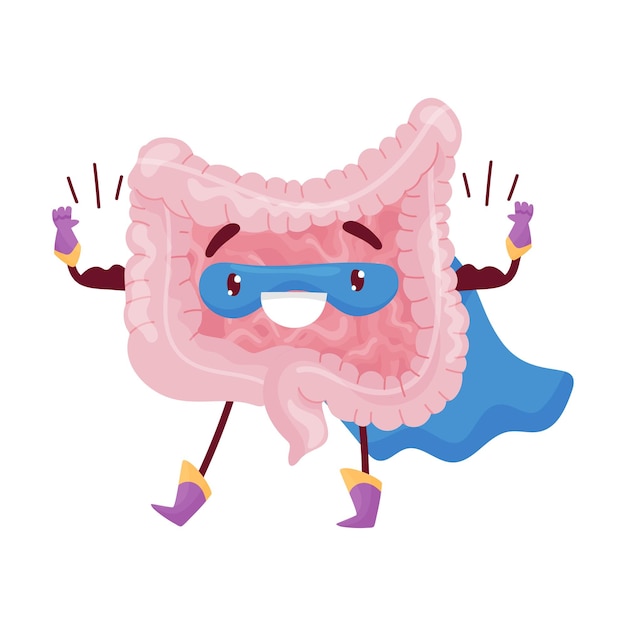 Intestino de dibujos animados disfrazado de superhéroe muestra músculos en sus brazos Ilustración vectorial sobre fondo blanco