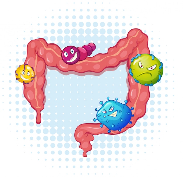 Vector intestino con muchas bacterias