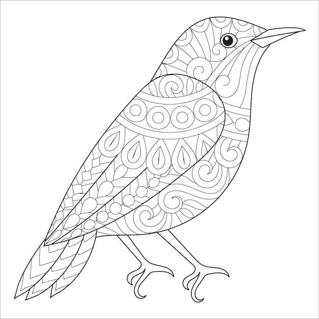 El intrincado arte de las líneas de los pájaros para colorear