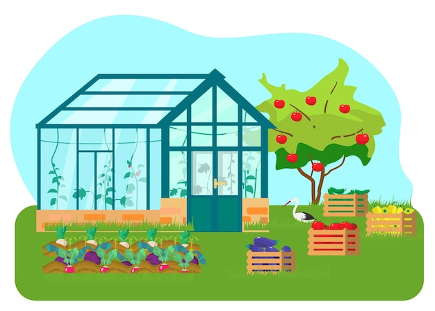 Invernadero con diferentes plantas en el interior de estilo plano. Casa de cristal con tomates y plantas de pepino. Cajas de madera con verduras. Camas de vegetales. Árbol de manzana. Cigüeña.
