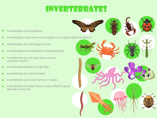 Vector invertebrados