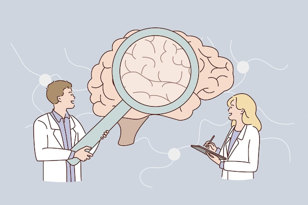 Investigación del concepto de cerebro humano
