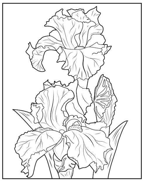 Iris para colorear