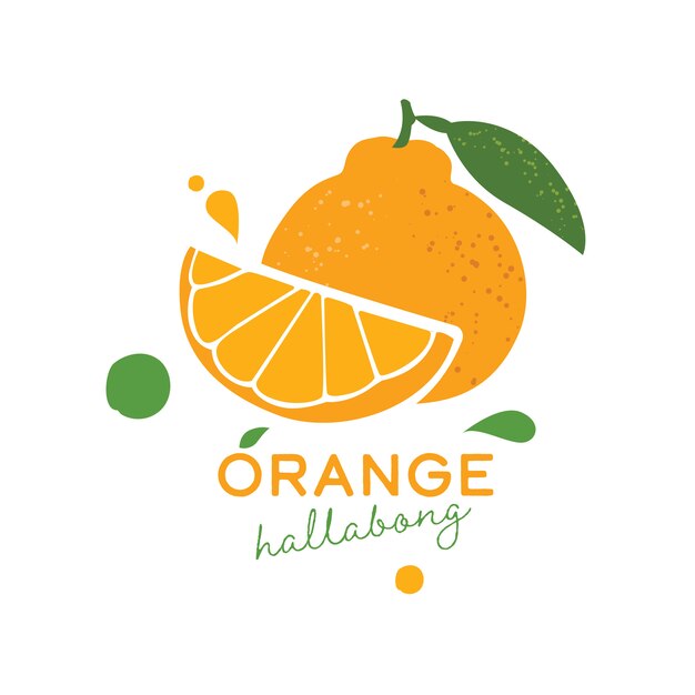 Vector isla de jeju hallabong naranja