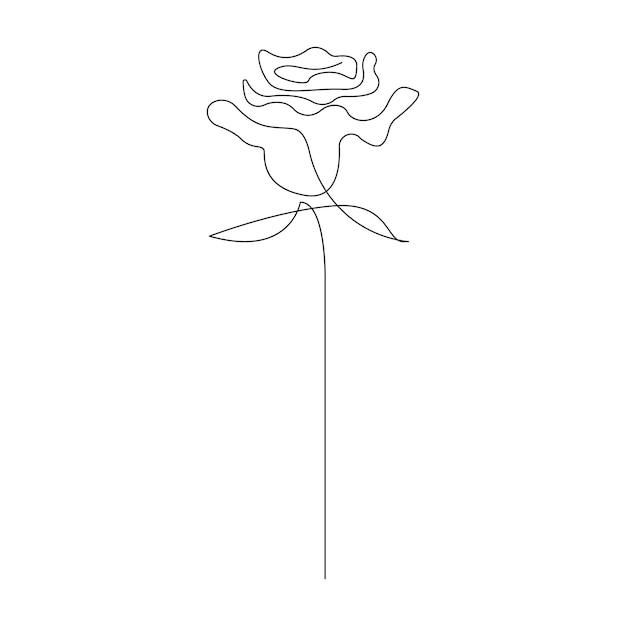 Isolado hermoso contorno de flor de rosa dibujado a mano Diseño de icono vectorial continuo