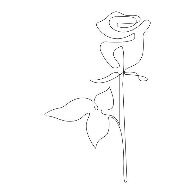 Isolado hermoso contorno de flor de rosa dibujado a mano Diseño de icono vectorial continuo