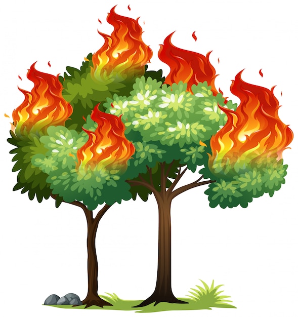 Vector isolared fuego en arbol