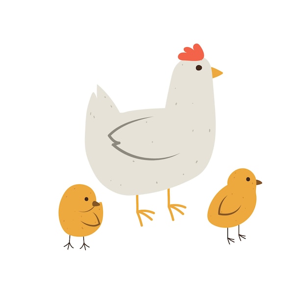Isolated flat vector illustration of hen with two yellow chicks Cottagecore lifestyle