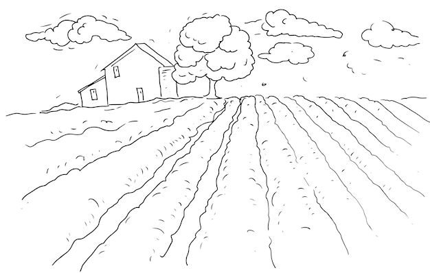 Italia granja campos de lavanda patio colorear dibujado a mano sobre un fondo blanco mampostería provenza